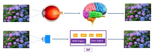 [2023-07-24]Empowering Intelligent IoT with 'True Black Light': Aixin Zhimou® AI-ISP Breaks Through Night Imaging Limitations